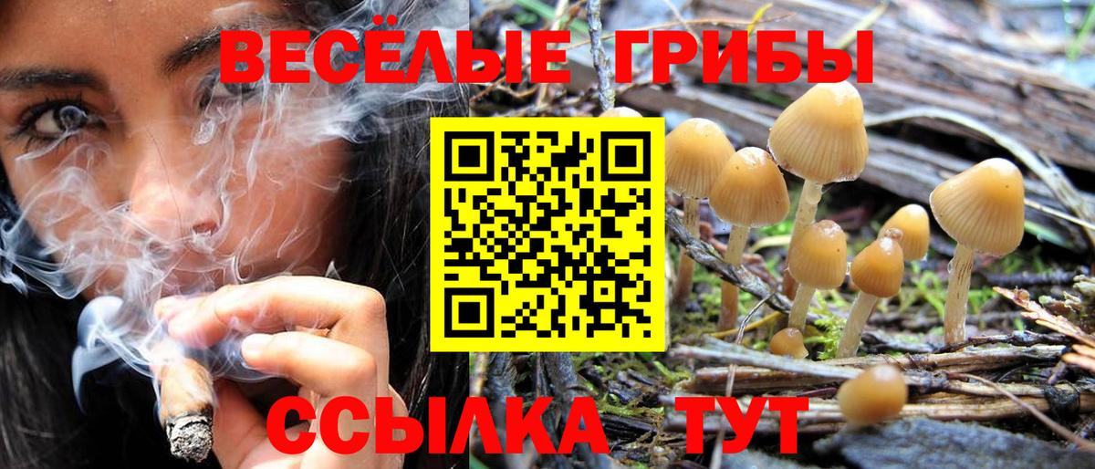 Екатеринбург  цена   Галлюциногенные грибы Magic Shrooms  Вход с VPN  Галлюциногенные грибы ЛСД 